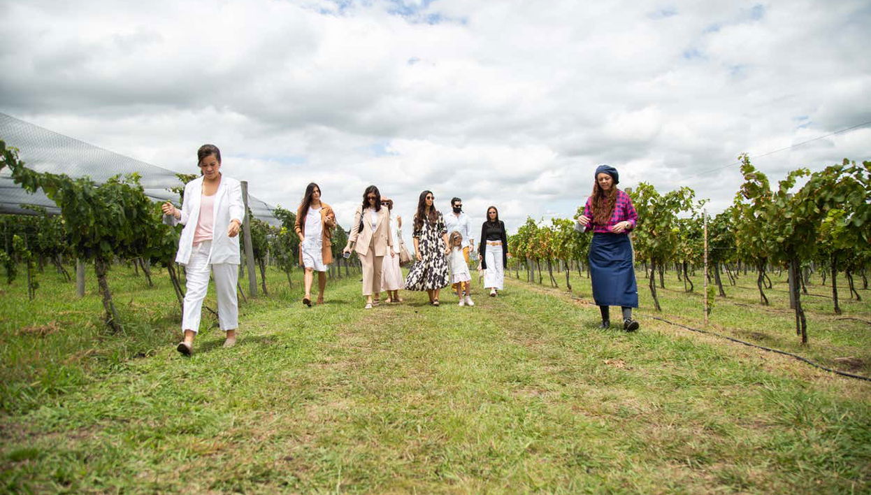 Visit to Bodega Gamboa Winery - Photo 1