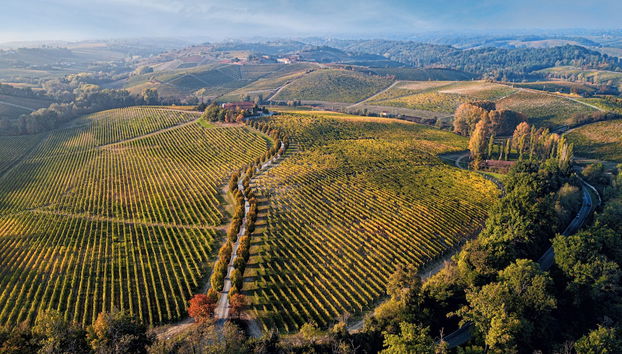 La Tenuta La Meirana - Photo 2, Image principale