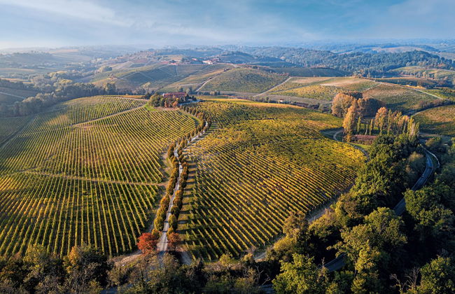 La Tenuta La Meirana - Foto 1