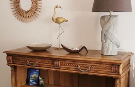 Les Gîtes sous l' Olivier en Camargue - Photo 50