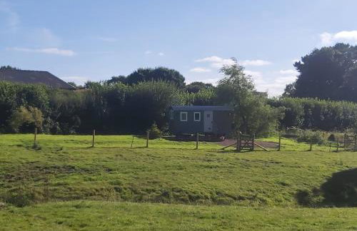 Cuckoo's Nest - Foto 15