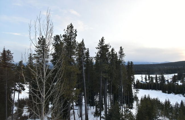 Big White Condos by Big White Accomm. - Foto 41