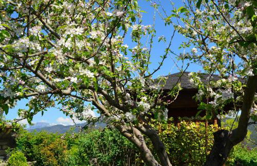 Casa Rural La Era - Photo 42