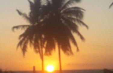 Casitas na Praia - Photo 15