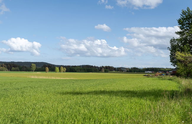 Harge Sörgård - Foto 47