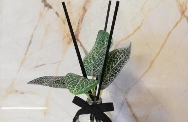 Olive Tree - House with Pool - Photo 21