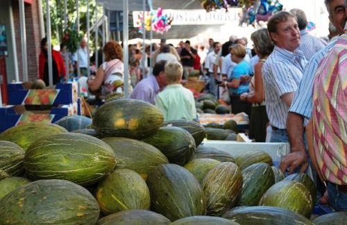 Quiet apartment in the heart of town with a large terrace l'Abatanador - Foto 8