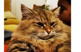 Bienvenue à la ferme - Foto 31