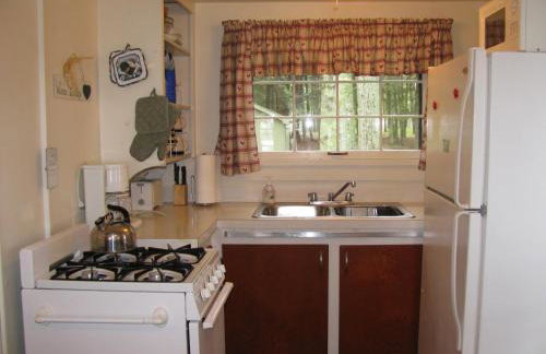 Lakefront! Twin Birch Resort - The Green Laker - Foto 30