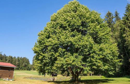 Ferienhof Stöhrmühle - Foto 9