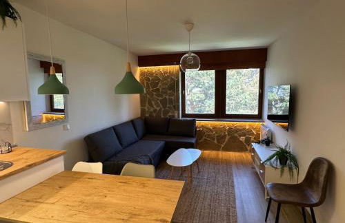 Apartamentos La Pinilla - Foto 19