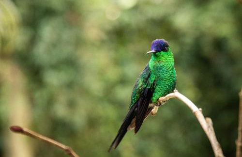 Nossa casa em Canela - Foto 18