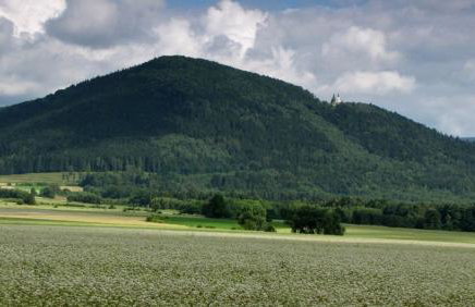 AGROTURYSTYKA POD ŚNIEŻNĄ - Foto 47