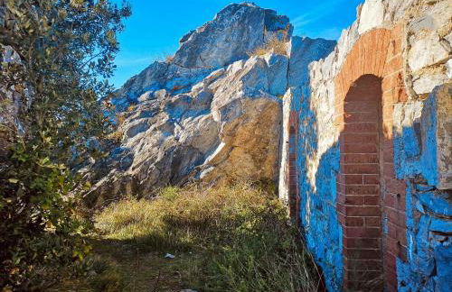 Vitis Verde - Foto 16