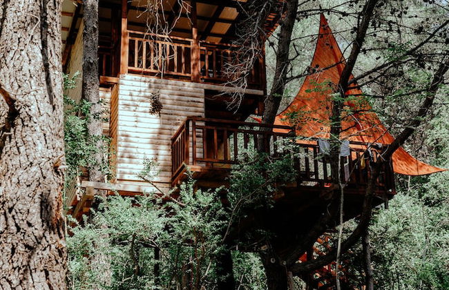 TreeHouses Ljubač Glamping Robinson - Foto 7