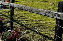 Airyolland - Foto 18