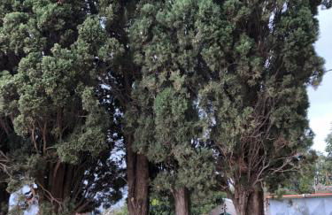 Kamares Stone House 1 - Photo 16