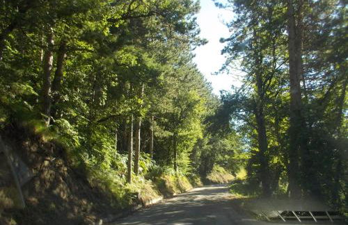 Cottage in montagna Montemonaco - Foto 29