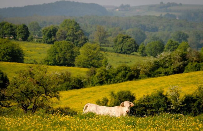 Country House Near Parc du Morvan With Pool - Foto 40