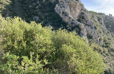 Wunderschöne Wohnung in Jugendstilvilla am Hafen - Photo 23