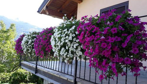 Villetta maison hélène CIR n 0391 - Foto 3