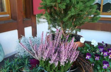 Ferienwohnung Hasenfratz - Foto 45