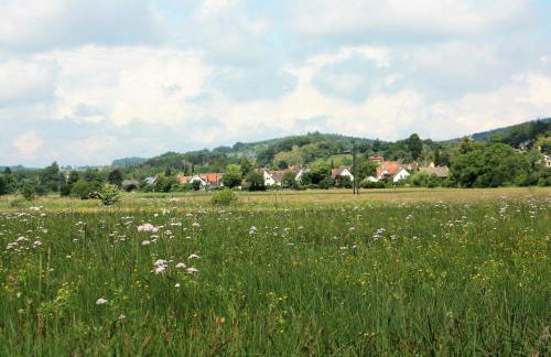 Ferienwohnung Riedblick-Süd-West - Photo 13