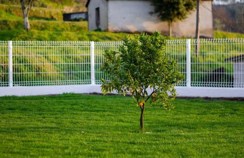 Casa Leite - Foto 14