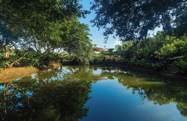 Kaluma Villas - Foto 48