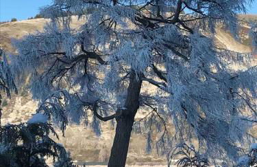 THE MORNINGSIDE APARTMENT Charming stylish apartment in the centre of Innerleithen - Foto 17