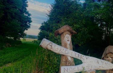 Agroturystyka Raj "Pod rzeźbami" - Photo 60