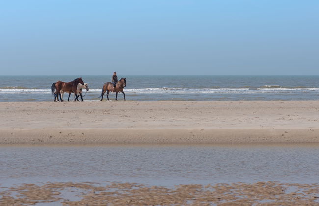 3 bedroom Apartment in De Haan with garden and terrace - Photo 14