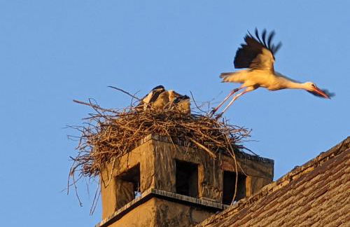 Auszeitoase Freystadt - Park, Billard, Sauna - ideal für Familientreffen und Messe Nürnberg - Foto 43