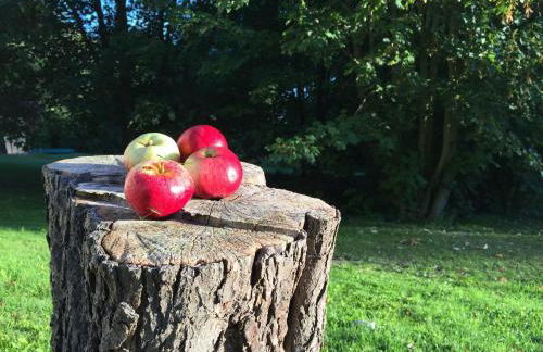 Bungalow in Tessmannsdorf Nahe Salzhaff - Foto 77