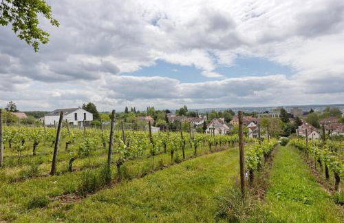 Rotes Haus über den Weinbergen - Photo 13