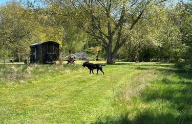 Mountbatten Shepherds hut & Buckhurst Shepherds hut - Photo 37