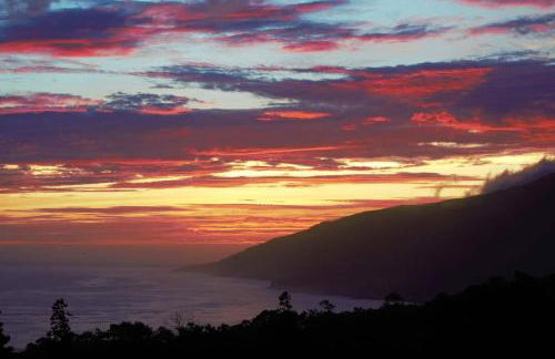 FISH HOUSE 1 - Photo 21