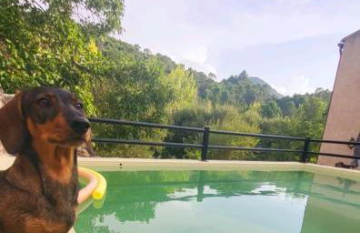 Cortijo de las cañadas - Foto 36