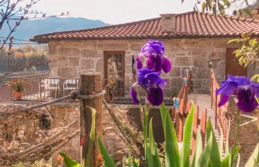 Casa Sambinho Gerês - Foto 23