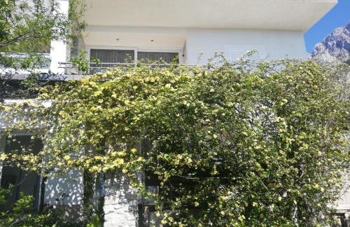 Villa Marija - Foto 11