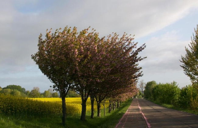Cozy Holiday Home in Hohenkirchen near Baltic Sea - Foto 38