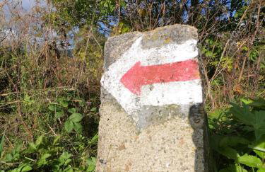 Stara Jabłoń dom w Bieszczadach - Photo 6