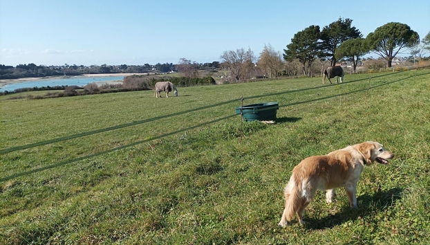 Ausstattung der Unterkunft