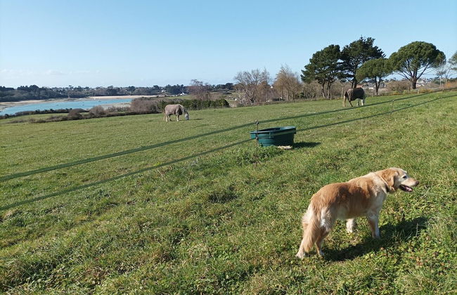Quiet Duplex Apartment in St Briac sur Mer - Foto 5