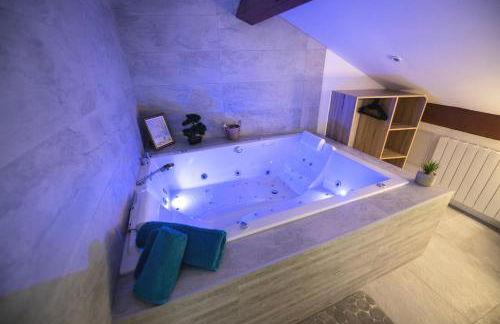 Lova Spa Saint-Etienne - Foto 15