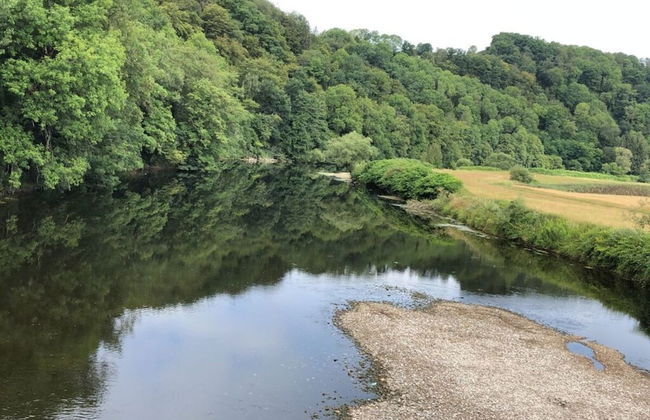 Holiday Home Am Beulskopf - Foto 12