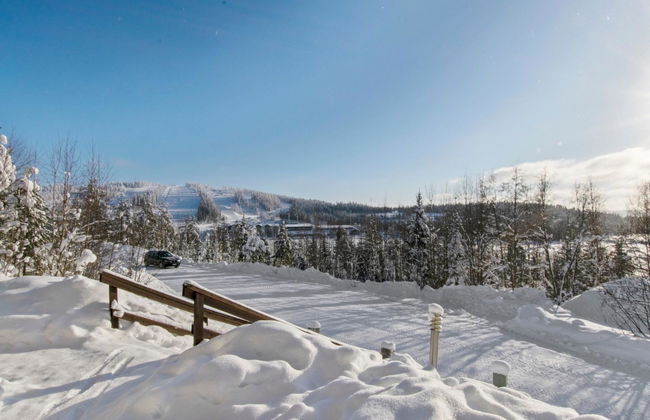 Hallan paroni a paritalo - Foto 4