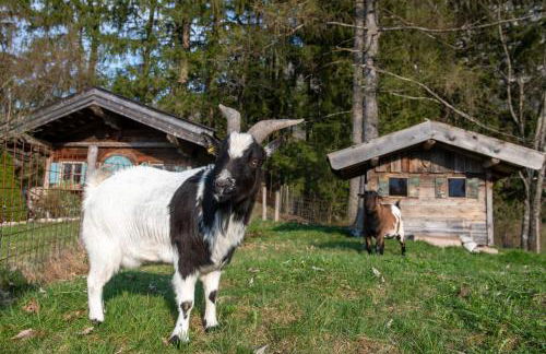 Knoglerhof inkl. Chiemgaukarte - Foto 4