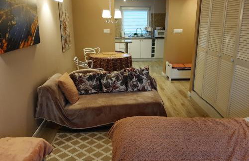 Apartamenty na przedmieściach RADZYMINA z prywatnym parkingiem i ogrodem FAKTURA - Foto 1