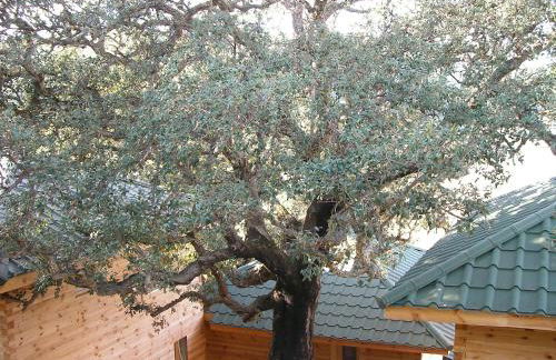 Albaria Lodge - Foto 27